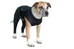 BENEFAB Relaxing Comfort Suit for Dogs (X-Small)
