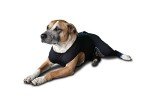 BENEFAB Relaxing Comfort Suit for Dogs (X-Small)