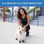 Pawz Black Dog Boots for Comfort and Protection