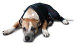 BENEFAB Relaxing Comfort Suit for Dogs (X-Small)