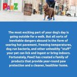 Pawz Black Dog Boots for Comfort and Protection