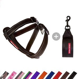 EZYDOG Classic No-Pull Dog Harness - Reflective Black
