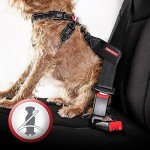 EZYDOG Classic No-Pull Dog Harness - Reflective Black