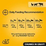 Pedigree Chunks in Gravy Dog Food 400g x 12