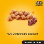 Pedigree Chunks in Gravy Dog Food 400g x 12