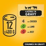 Pedigree Chunks in Gravy Dog Food 400g x 12