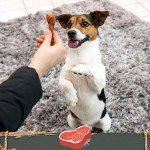 SmartBones Mini Beef Chews for Dogs