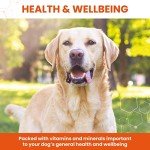 Vetzyme Conditioning Tablets for Healthy, Active Dogs