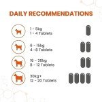 Vetzyme Conditioning Tablets for Healthy, Active Dogs