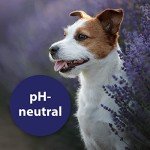 Canosept 120ml Dog Eye Drops for Infection