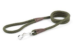 Ancol Heritage Green Nylon Rope Dog Lead 1.07m