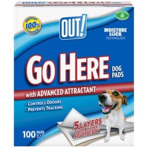 OUT! Go Here Puppy Training Pads - 100 Count