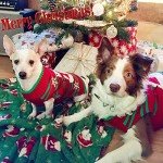 Snowman Holiday Sweater for Small Dogs & Cats