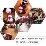 Snowman Holiday Sweater for Small Dogs & Cats