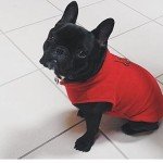 Cozy Red Fleece Vest for Small Dogs