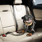 Adjustable Heavy-Duty Dog Seat Belt - 2 Pack
