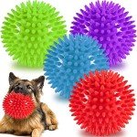 Indestructible Squeaky Dog Balls for Aggressive Chewers