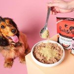 Bionic Biotic Dog Digestion Supplement - 200g