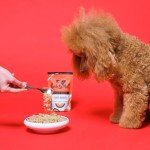 Bionic Biotic Dog Digestion Supplement - 200g