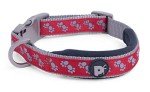 Red and Grey Padded Dog Collar for Medium Dogs