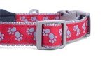 Red and Grey Padded Dog Collar for Medium Dogs