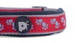Red and Grey Padded Dog Collar for Medium Dogs