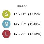 Red and Grey Padded Dog Collar for Medium Dogs