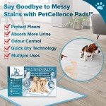 PetCellence Super Absorbent Puppy Pads 100 Pack