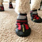 QUMY Waterproof Dog Boots for Every Season