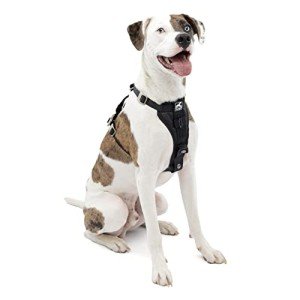 Kurgo Tru-Fit Crash-Tested Dog Car Harness - Medium