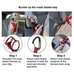 Kurgo Tru-Fit Crash-Tested Dog Car Harness - Medium