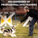 Durable Dog Tug Toy with Strong Handles