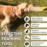 Durable Dog Tug Toy with Strong Handles