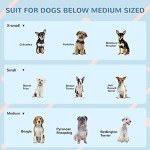 Weather-Resistant Plastic Dog House for Medium Dogs