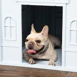 Weather-Resistant Plastic Dog House for Medium Dogs
