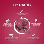 Dr John Silver Beef & Veg Dry Dog Food 15kg