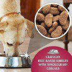 Dr John Silver Beef & Veg Dry Dog Food 15kg