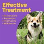 Bob Martin 3-in-1 Wormer for Small Dogs