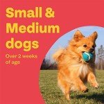 Bob Martin 3-in-1 Wormer for Small Dogs