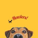 Howlers 31cm Pack of 10 Natural Dog Bones