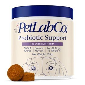 Dog Probiotics Soft Chews - Salmon Flavor 30ct