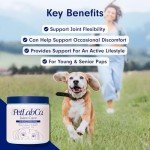 Daily Joint Care Chews for Active Dogs