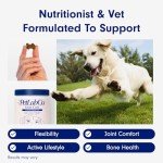 Daily Joint Care Chews for Active Dogs