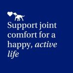 Daily Joint Care Chews for Active Dogs