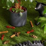 WHIMZEES Variety Box: Grain-Free Dental Chews for Small Dogs