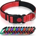Reflective Adjustable Dog Collar with Safety Buckle