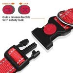 Reflective Adjustable Dog Collar with Safety Buckle