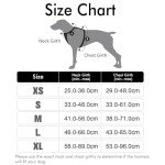 Rabbitgoo No-Pull Dog Harness with Reflective Padded Vest