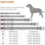 Reflective Adjustable Dog Collar with Safety Buckle