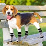 Kooltail Anti-Slip Dog Socks - 2 Pairs